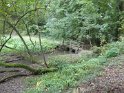 2019-09-26 10-27-25 Etang de Beaulieu FGn